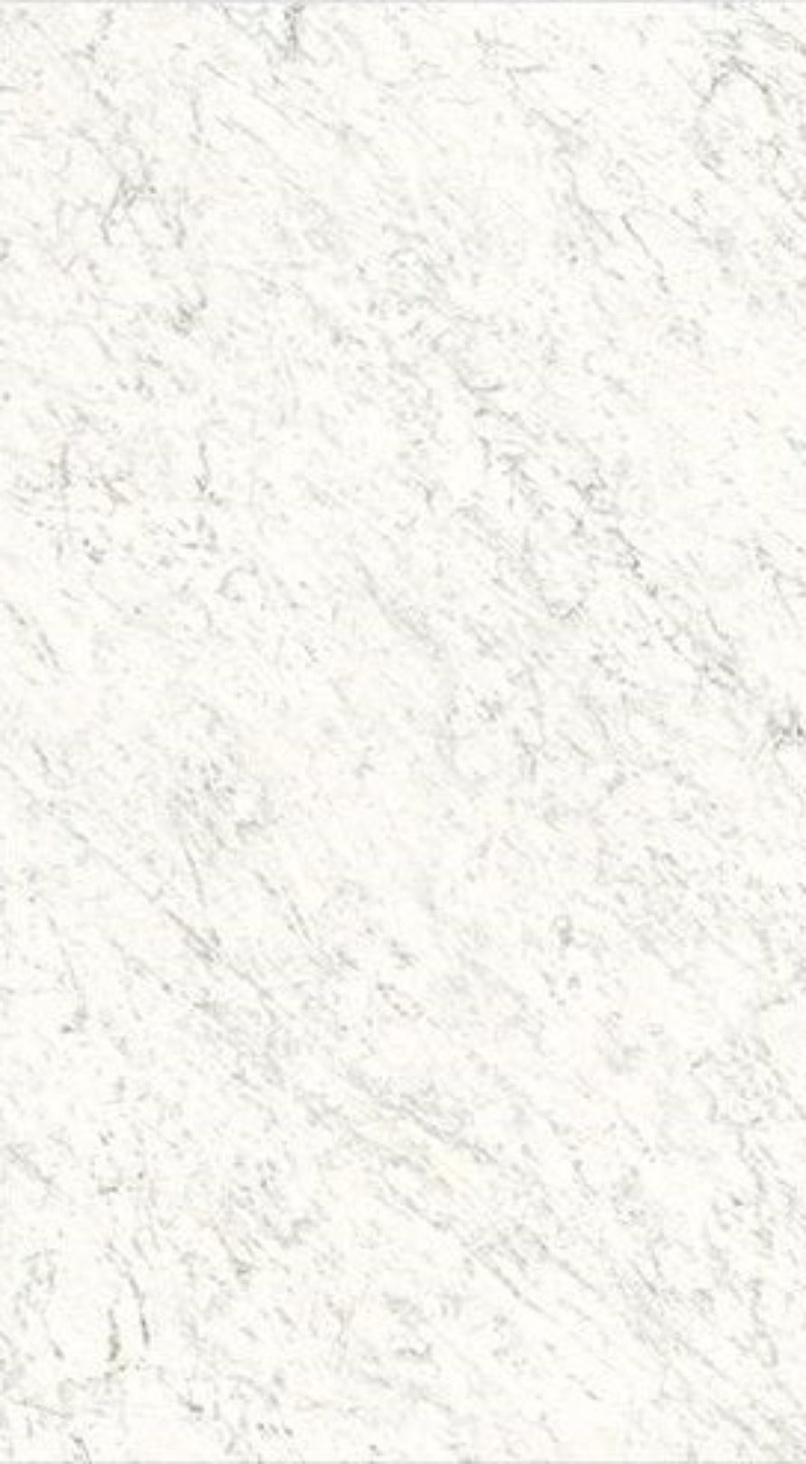 Veined White