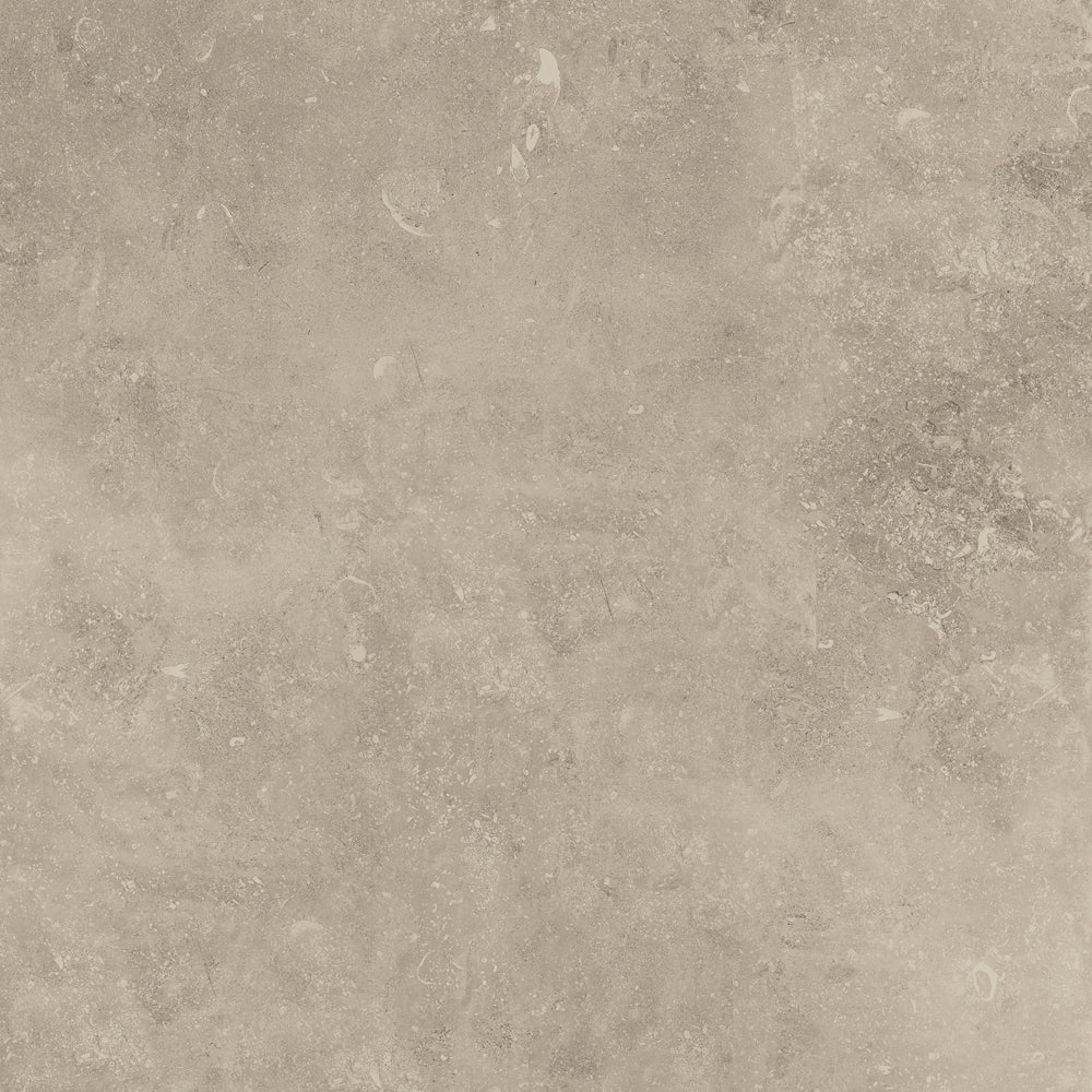 Absolute Beige