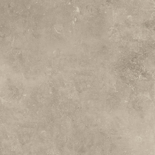 Absolute Beige