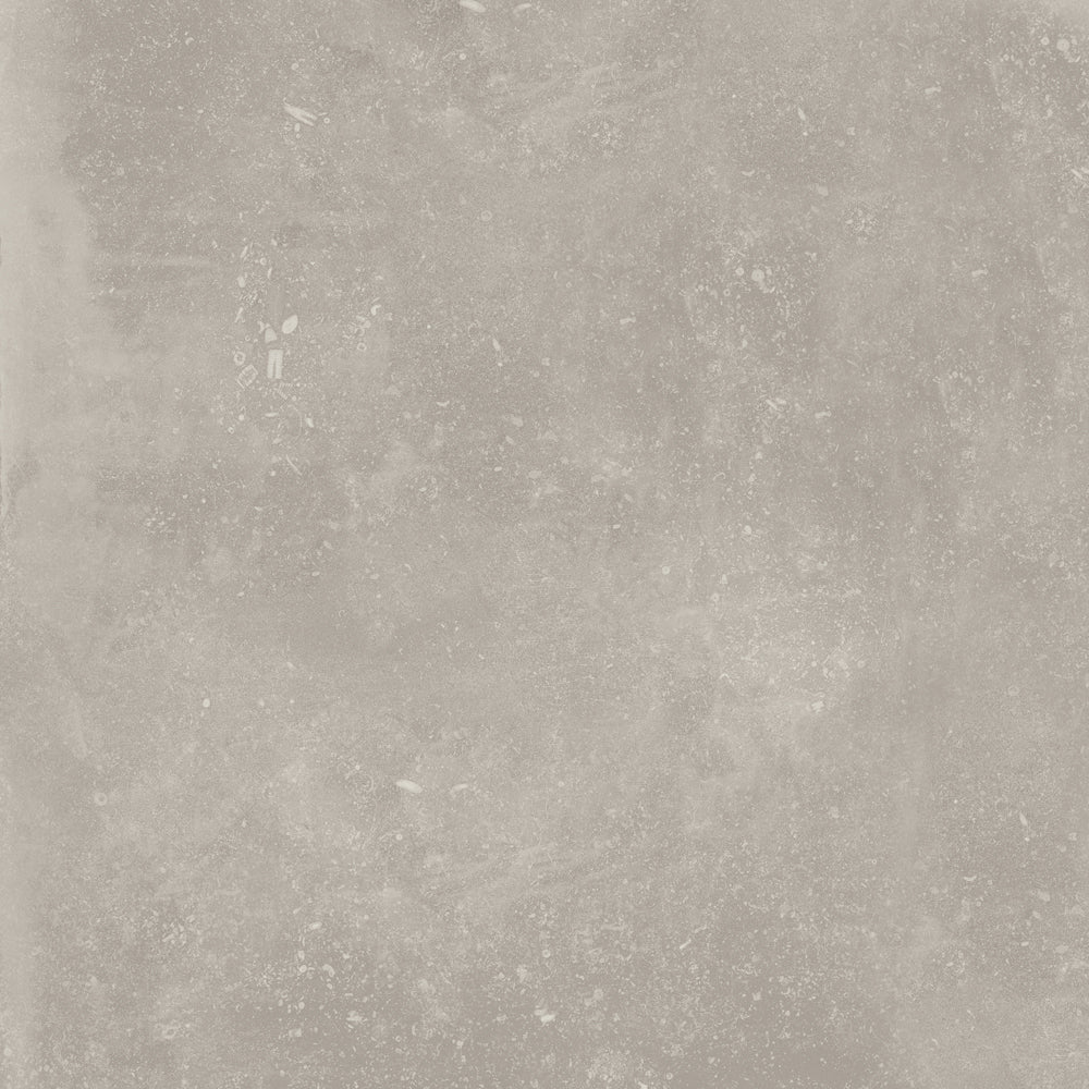 Absolute Grigio