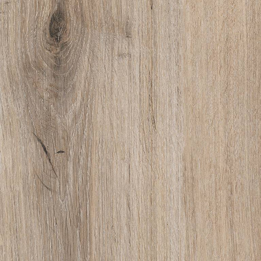 EKHO SILK T20