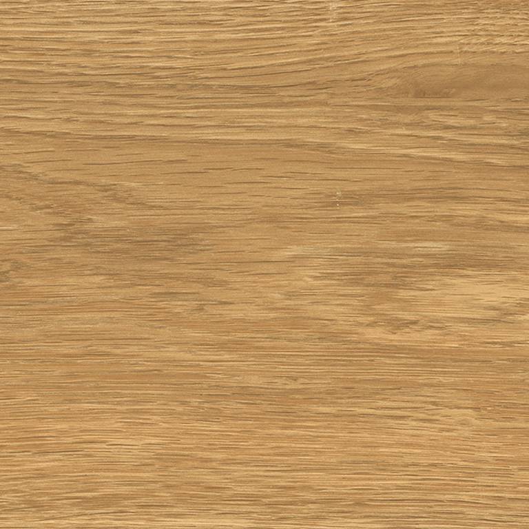 FREEDHOME AMBER T20