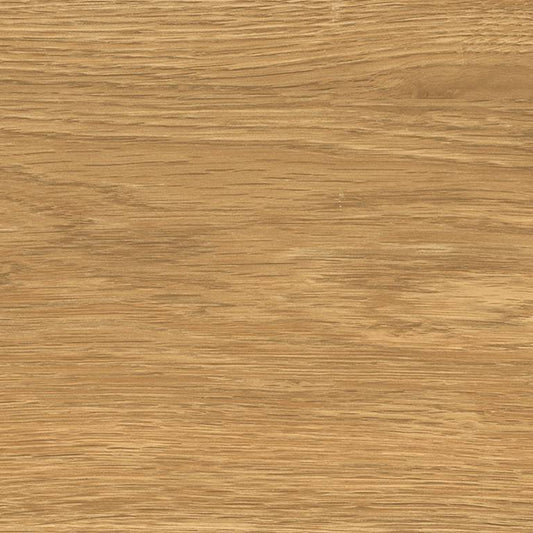 FREEDHOME AMBER T20