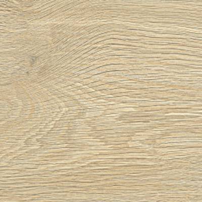 FREEDHOME SAND