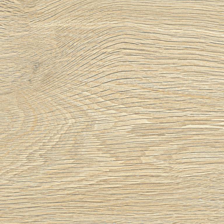 FREEDHOME SAND T20