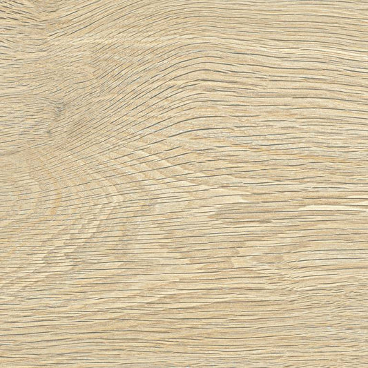 FREEDHOME SAND T20