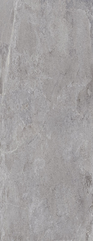 Evolution Grey