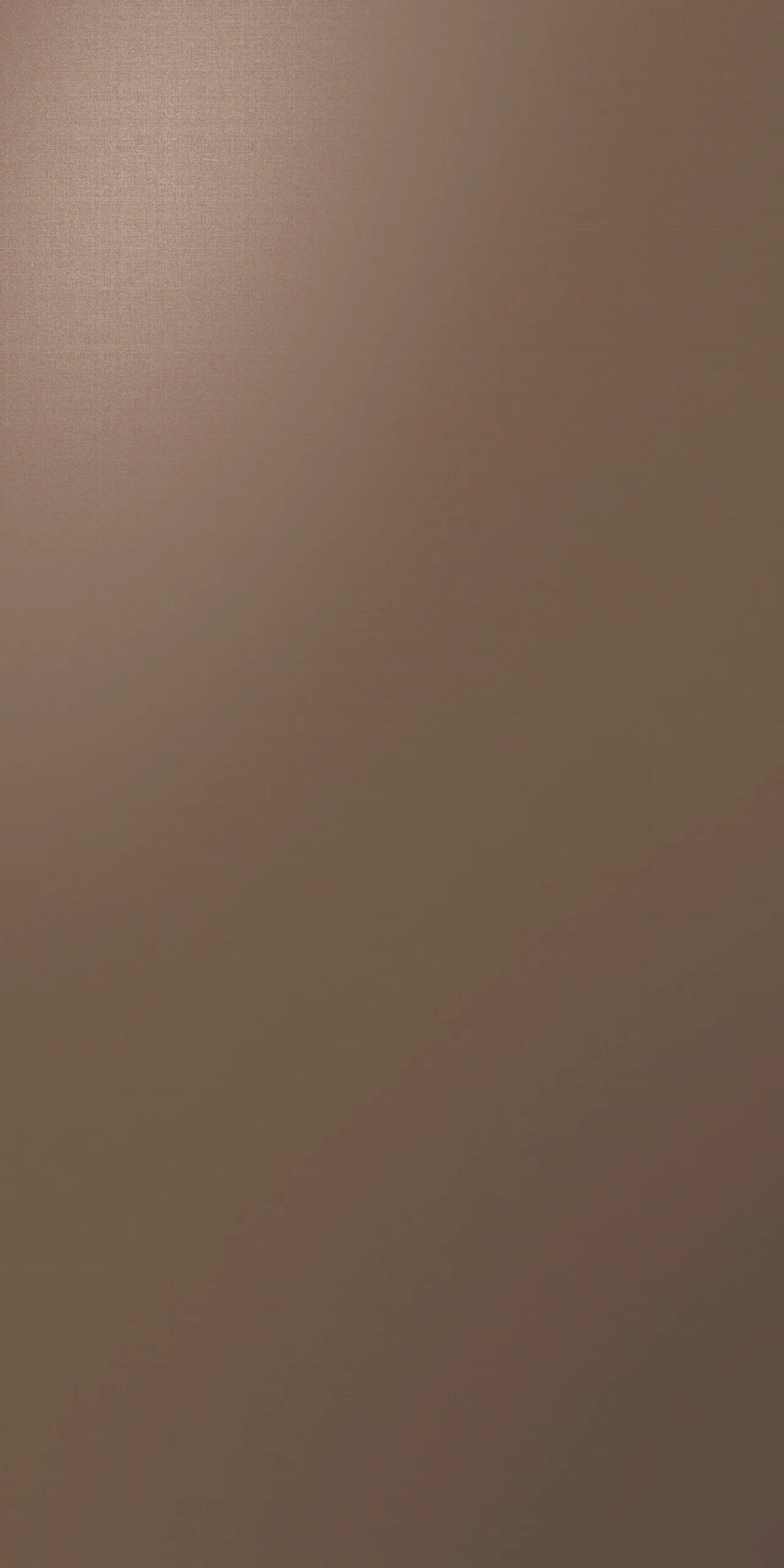 Nacra Bronze