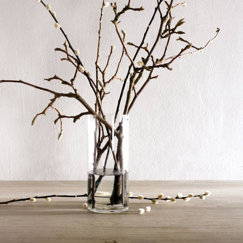 NATURAL APPEAL ALMOND