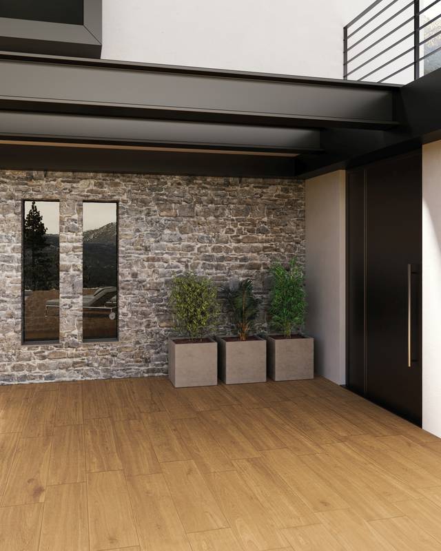 FREEDHOME AMBER T20