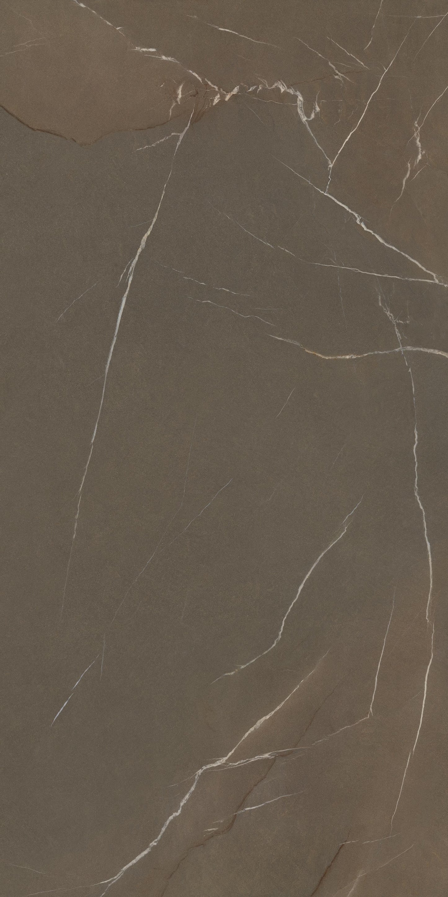 Pietra Piasentina Taupe