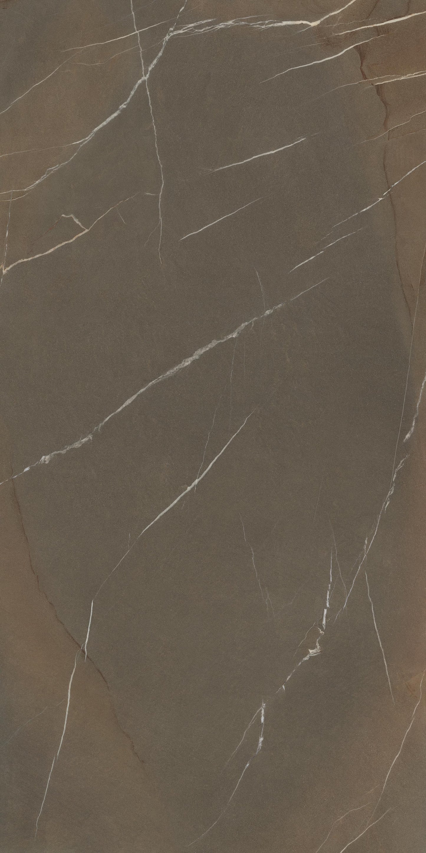 Pietra Piasentina Taupe