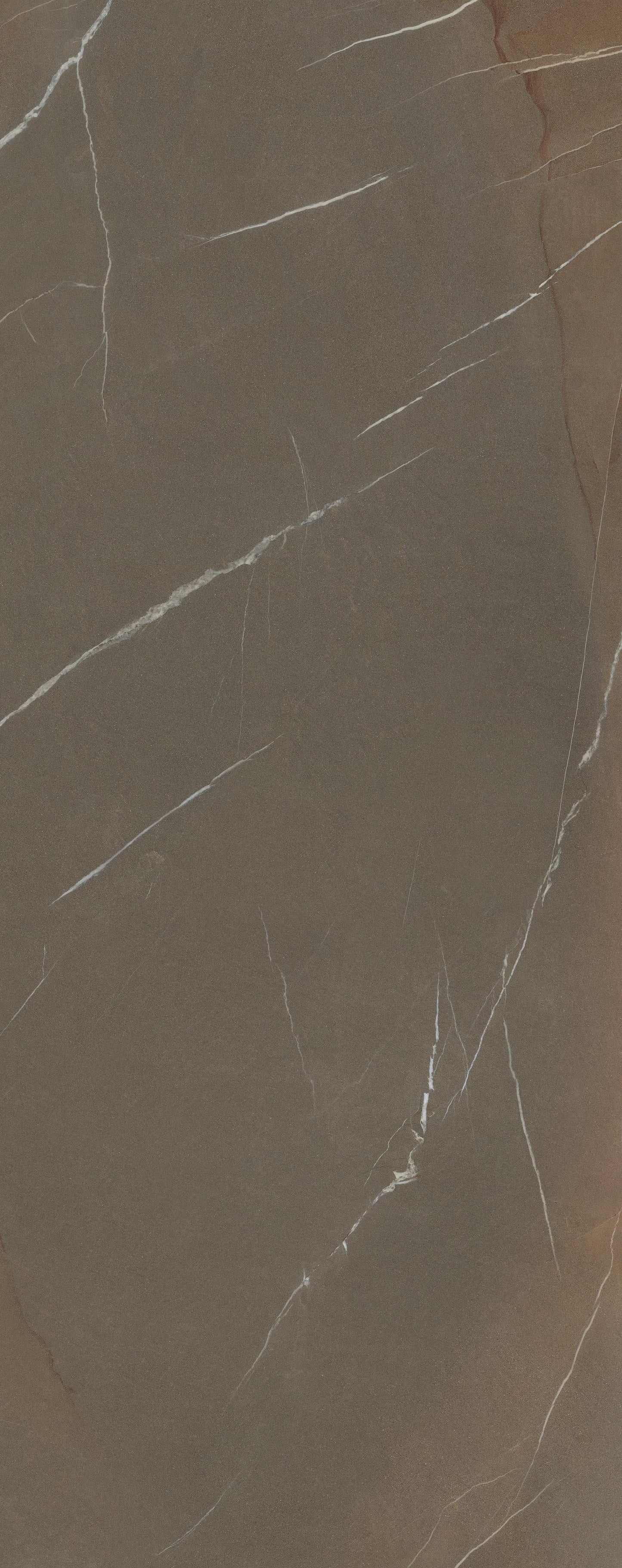 Pietra Piasentina Taupe