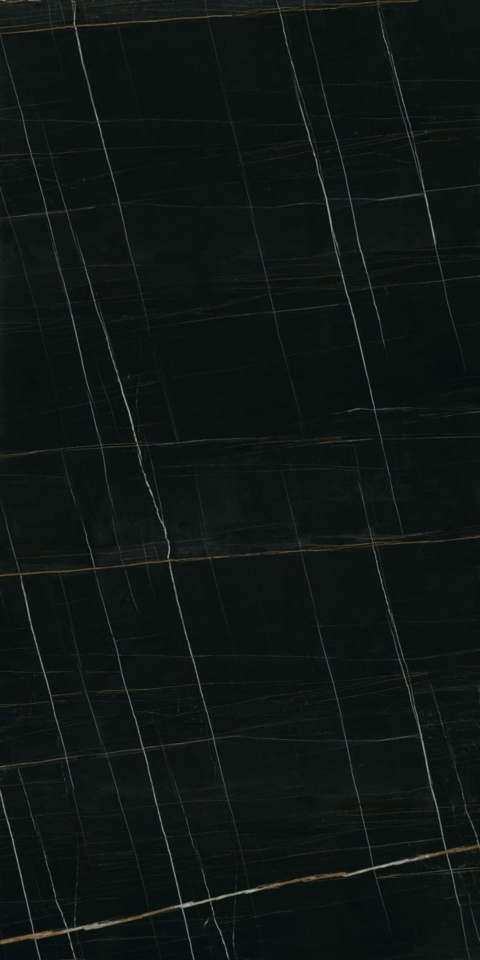 Sahara Noir